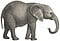 Elephas africanus - 1700-1880 - Print - Iconographia Zoologica - (white background).jpg