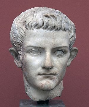 Buste en marbre Caligula.jpg