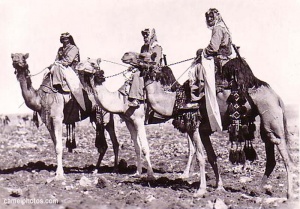Arab camel corps.jpg