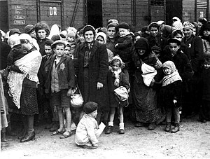 Bundesarchiv Bild 183-N0827-318, KZ Auschwitz, Ankunft ungarischer Juden.jpg