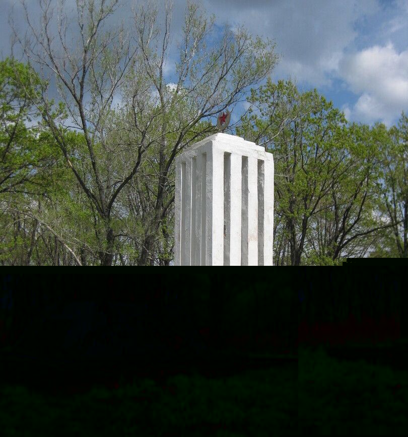 Файл:Памятник на братской могиле Русских и Корейских партизан.jpg