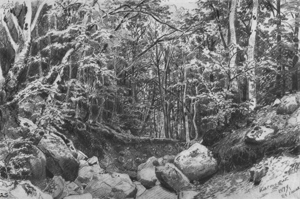 На горе Кастель в окрестностях Алушты. 1879