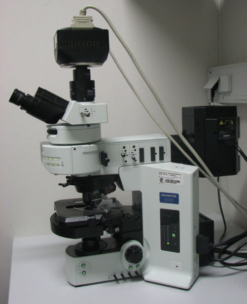 Файл:Fluorescence microscop 1.jpg
