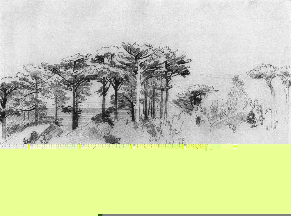 Сосны над морем. Алупка. 1879