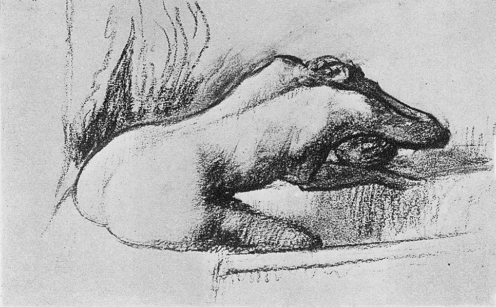 La toilette après le bain 2253.jpg