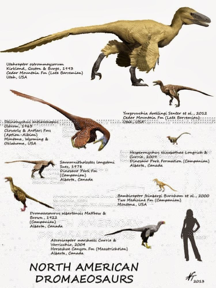 Dromaeosauridae-ed788ae0-a538-415f-8811-4a22f4b2755-resize-750.jpeg