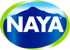 Naya Company Logo.png