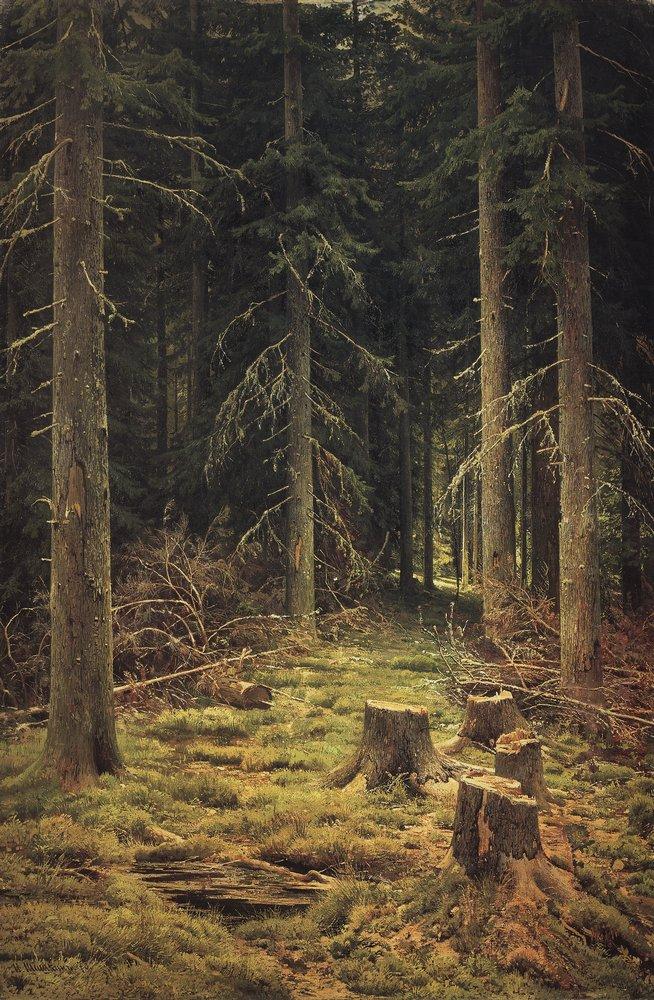 Хвойный лес. 1873