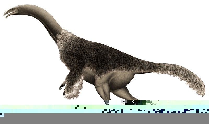 Segnosaurus Restoration.jpg