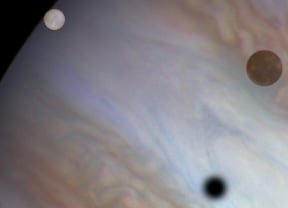 Europa Callisto Jupiter.jpg