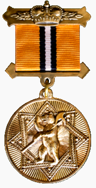 Файл:Медаль «За труды во благо земли Ярославской» 1 степени.png