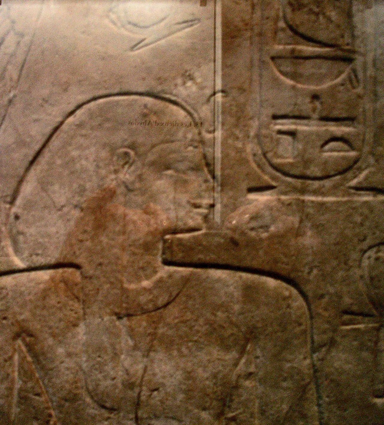 Sobekhotep II.jpg
