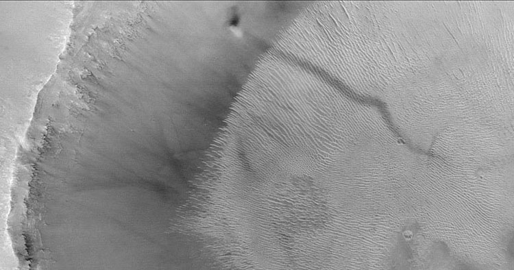 Файл:Dust devil Mars.jpg