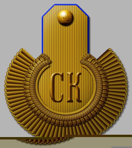 Полковник, Симбирский кадетский корпус