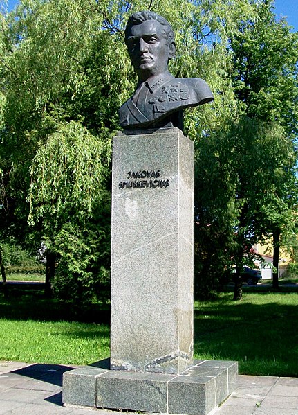 Файл:Памятник Якову Смушкевичу.jpg