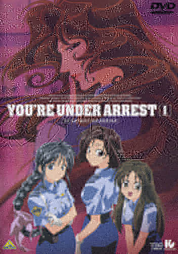 You're Under Arrest.jpg