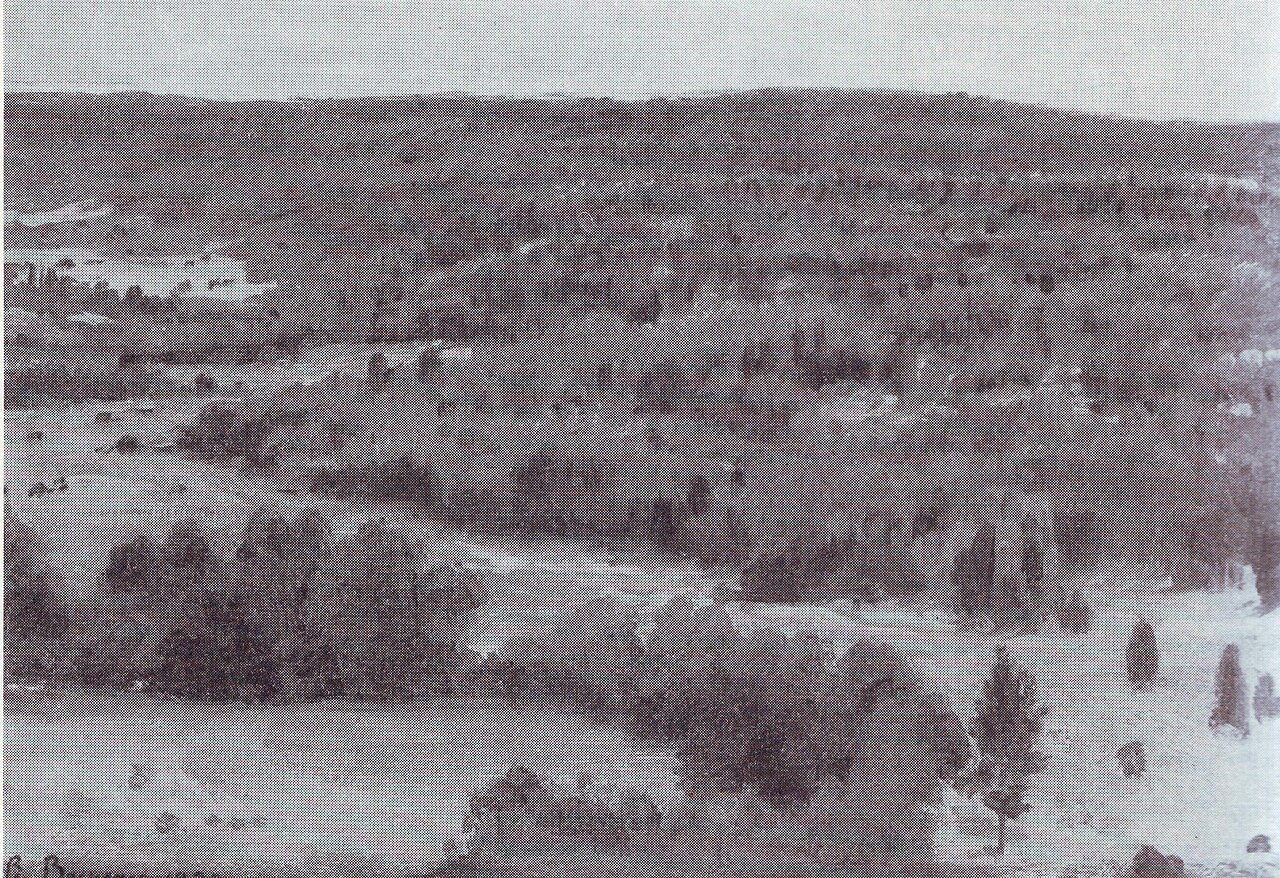 Landscape in Akhtyrka by V.Vasnetsov 2.jpg