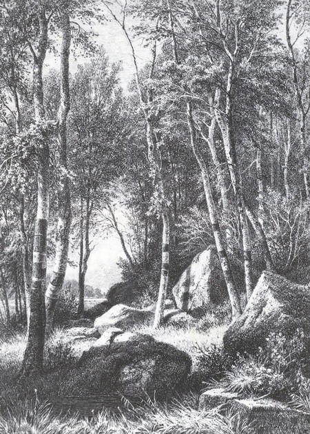 На краю березовой рощи. Валаам. 1859—1860