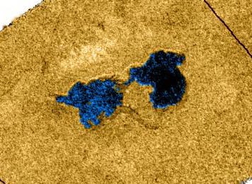 Радиоизображение озера Абая, основанное на данных от космического аппарата «Кассини-Гюйгенс» (псевдоцвета)