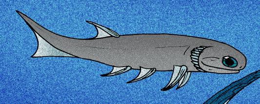 Mesacanthus.jpg