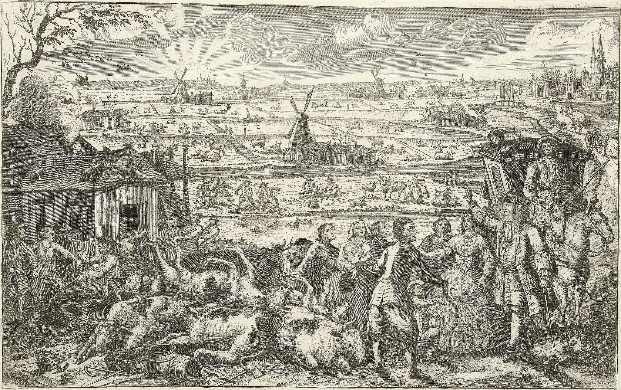 Чума крупного рогатого скота в Нидерландах в XVIII веке.