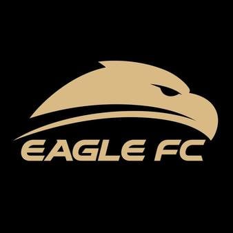 Файл:Eagle FC-logo.jpg