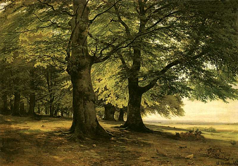 Тевтобургский лес. 1865