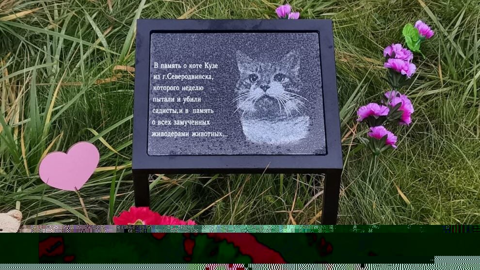 Памятник коту Кузе и всем жертвам живодёров.jpg