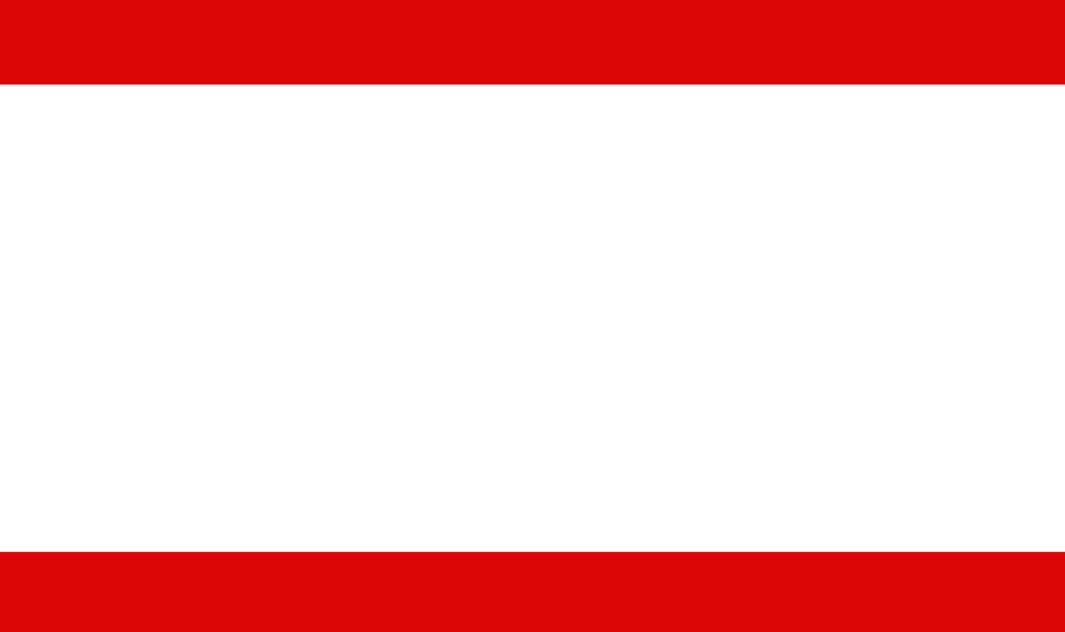Файл:Флаг БРП.png