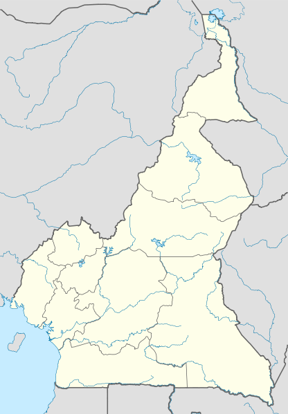 Файл:Cameroon location map.png