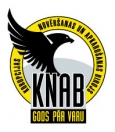 Файл:Knab logo.jpg