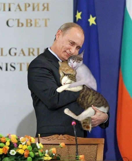 Файл:Путин и кошки.jpg