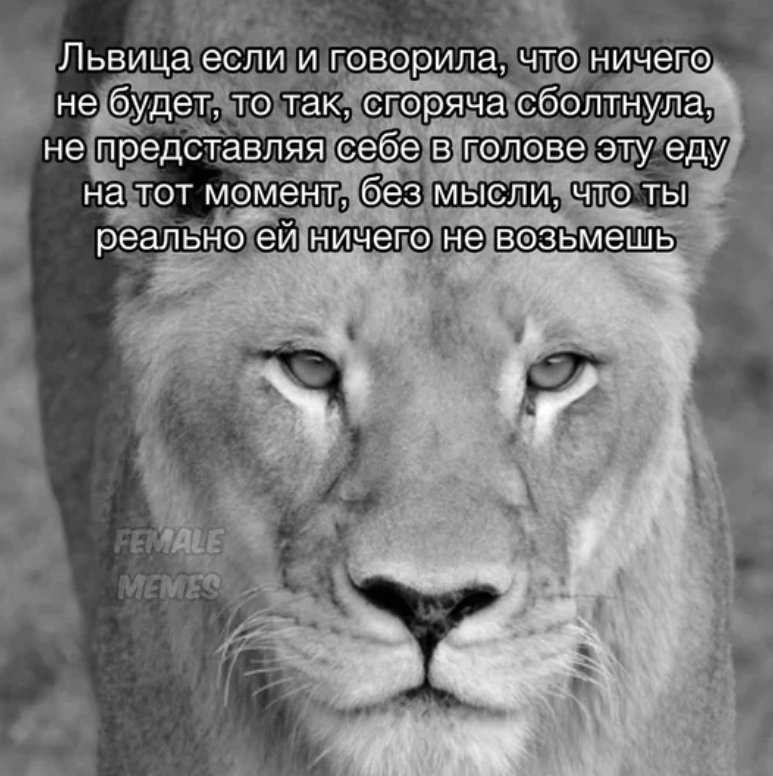 Лев 10.png
