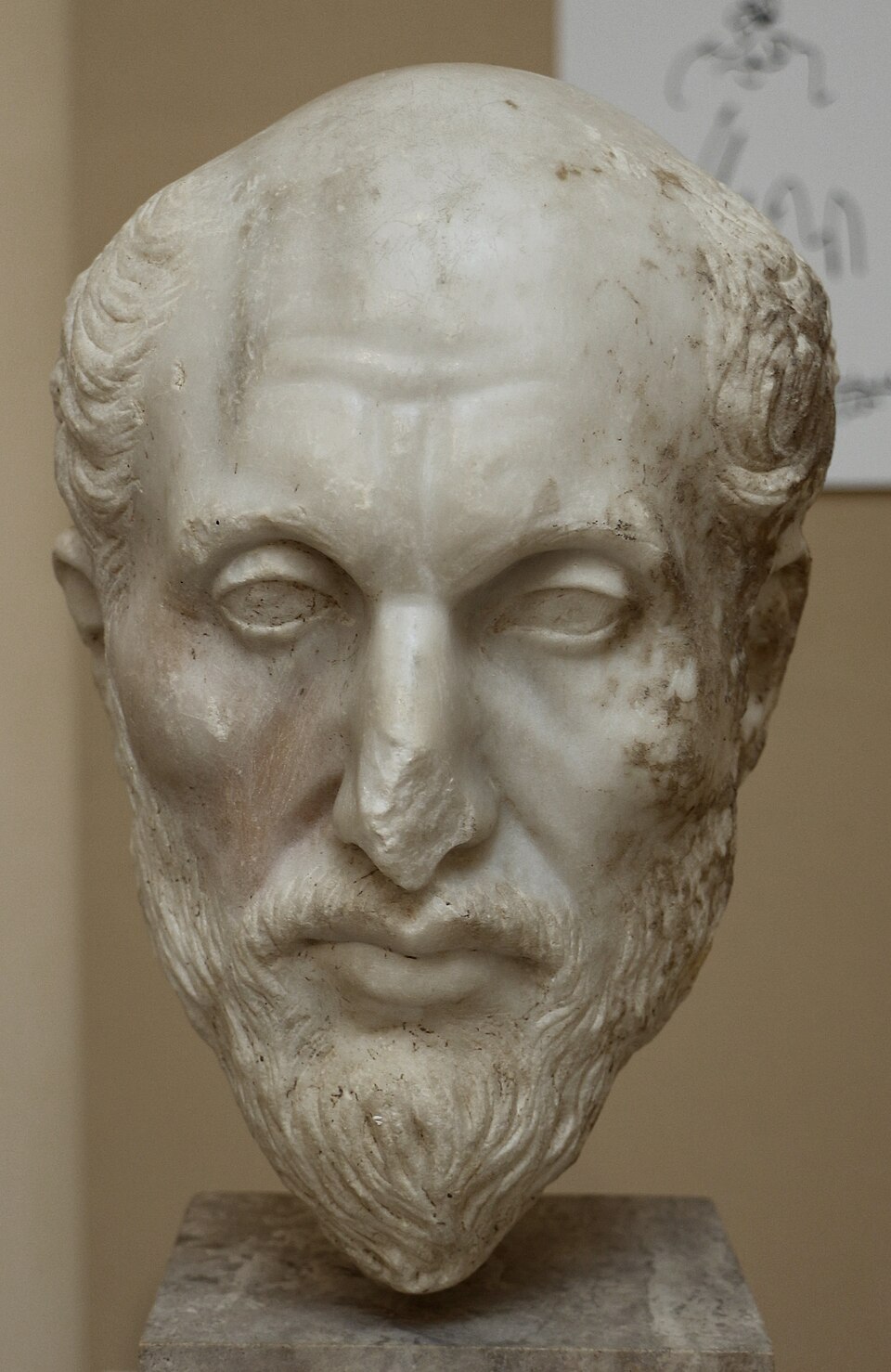 Testa di plotino, III secolo, dalla domus del filosofo 2.JPG