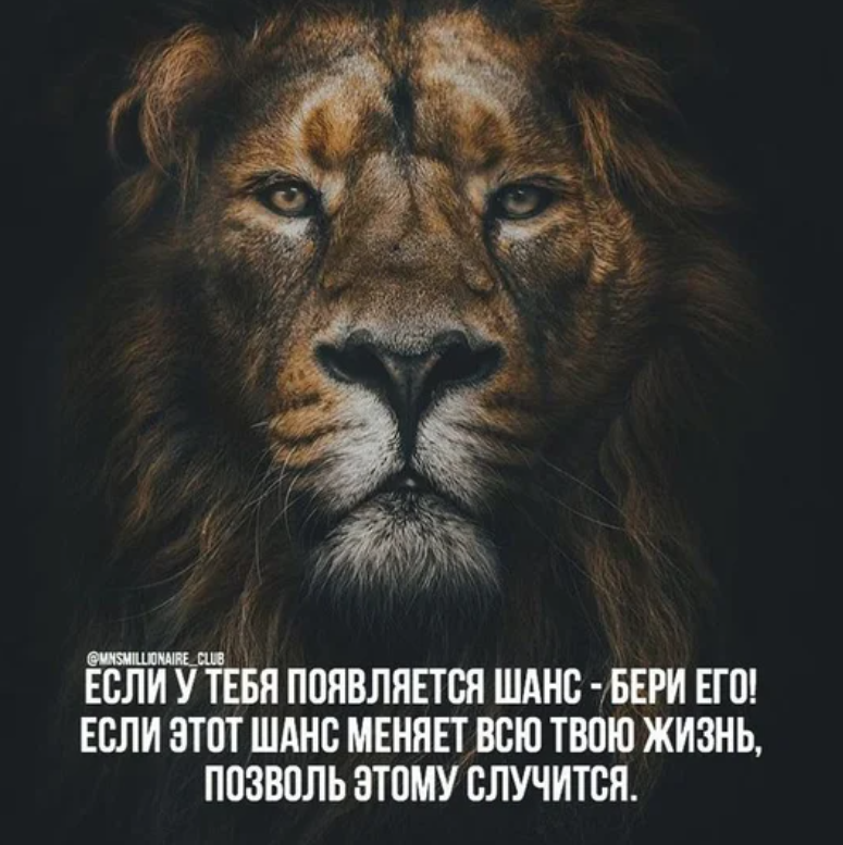 Лев 4.png