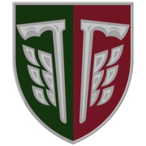 77th Separate Air Assault Brigade SSI.png