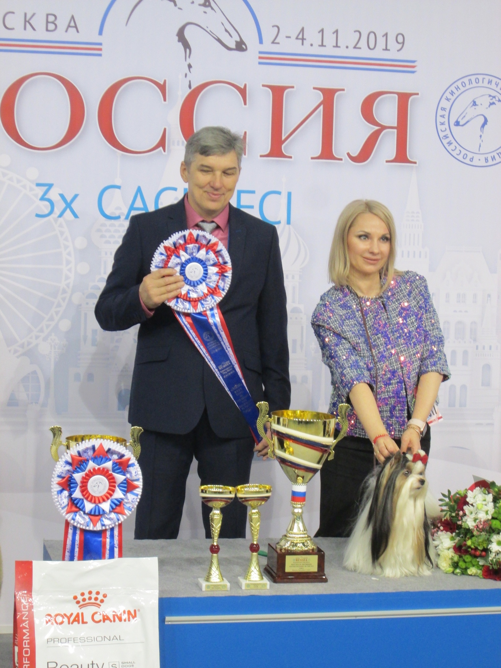 Одна из лучших собак выставки «Россия-2019», победитель в своей группе