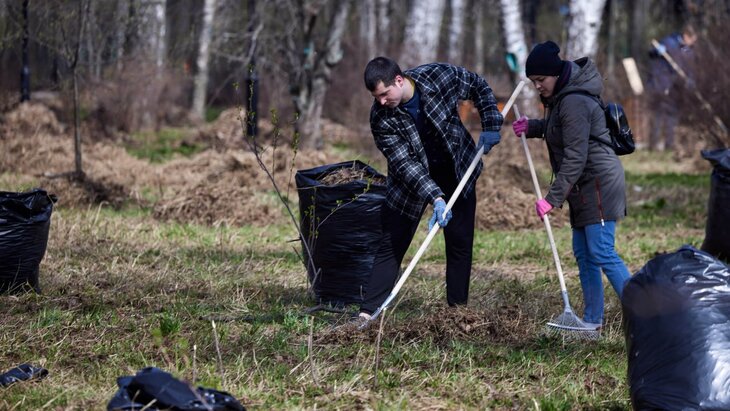Файл:Общегородские субботники.jpg
