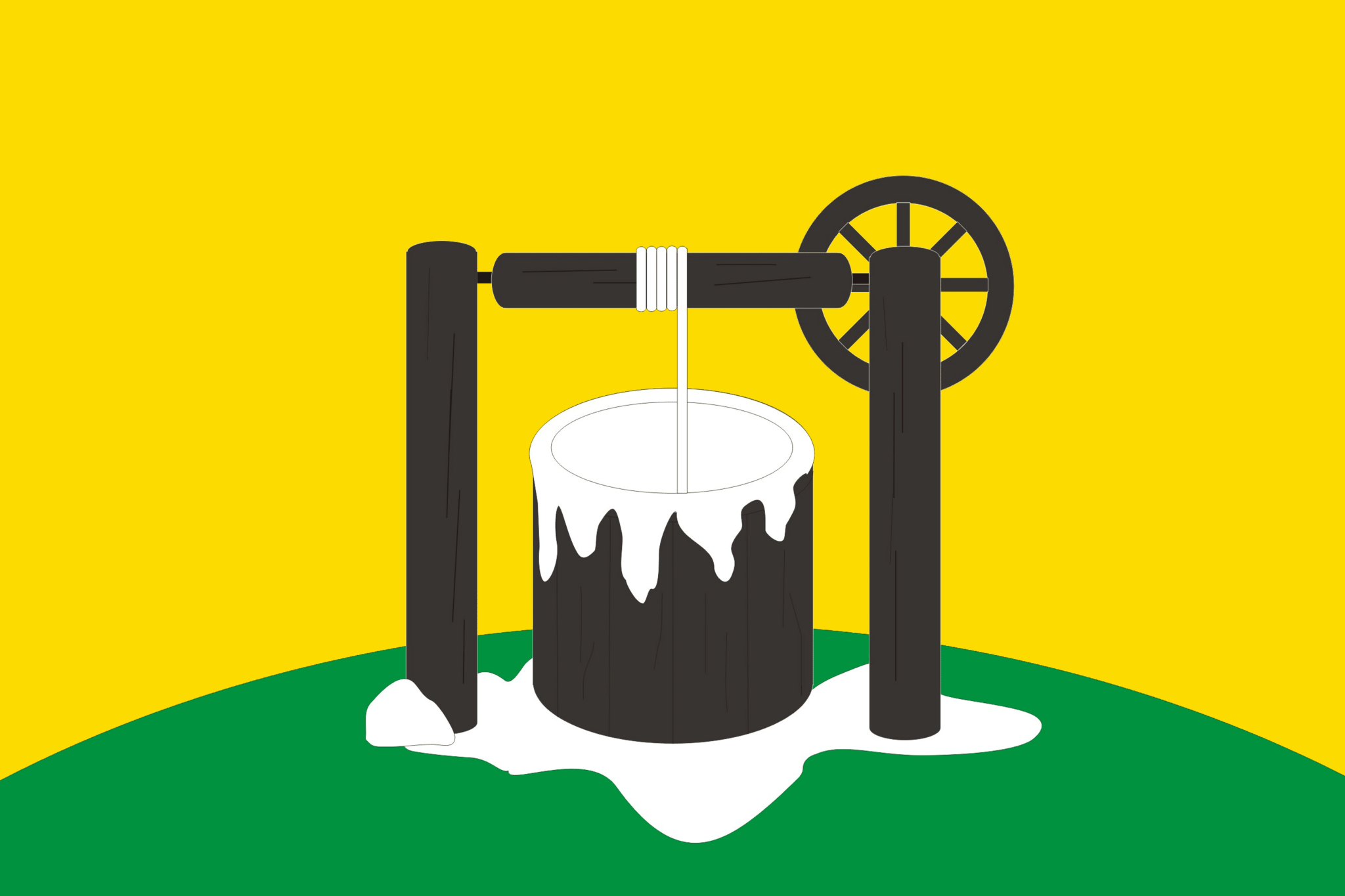Флаг населённого пункта Соликамск
