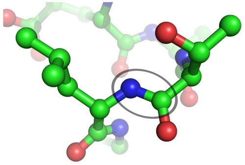 Файл:Peptide bond s leizinom i treoninom+jpg.jpeg