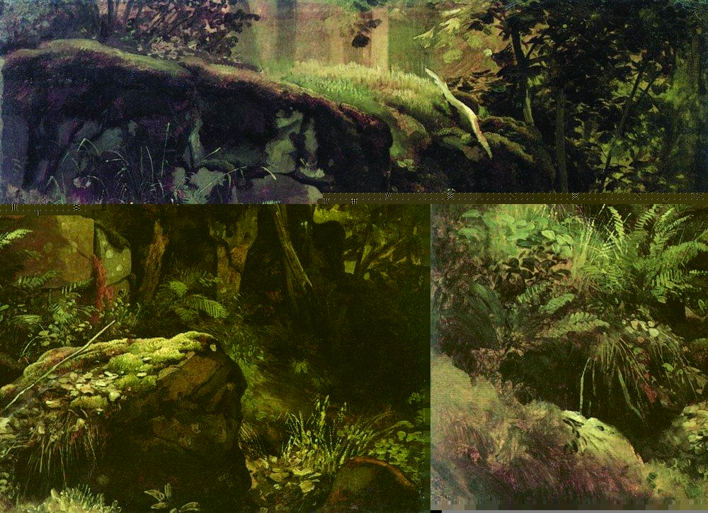 Камни в лесу. Валаам. Между 1858 и 1860