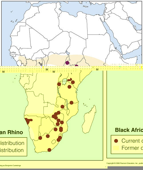 Файл:Black rhino distribution.jpg