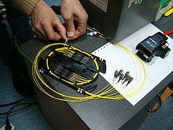 Укладка оптических волокон с КДЗС в сплайс кассету