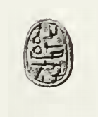 AahotepreScarabPetrie.png