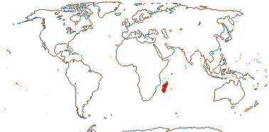 Файл:Sphaerosepalaceae range map.gif