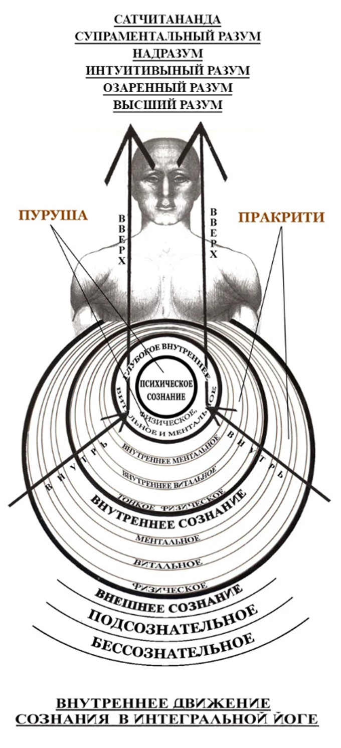Структура психики человека в Пурна Йоге Шри Ауробиндо.4.jpg