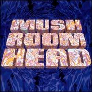 Обложка альбома «Mushroomhead» (Mushroomhead, 1995)