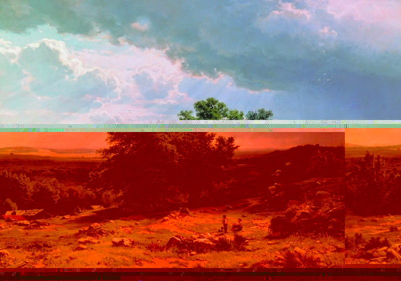 Вид в окрестностях Дюссельдорфа. 1865 (за эту картину И.Шишкин получил звание академика[1])