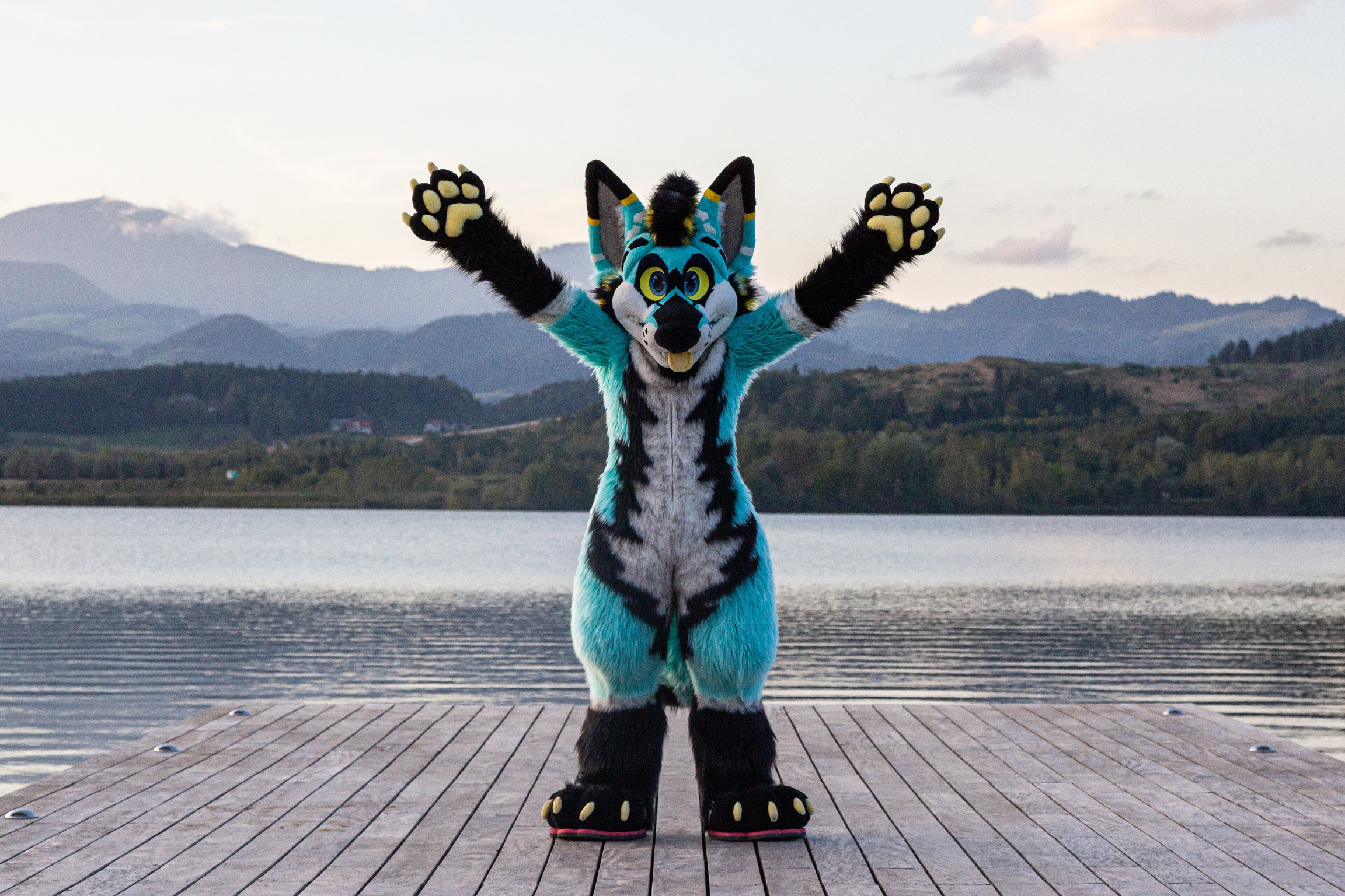 2023 09 20 Hexagon Husky Photoshoot 13.jpg