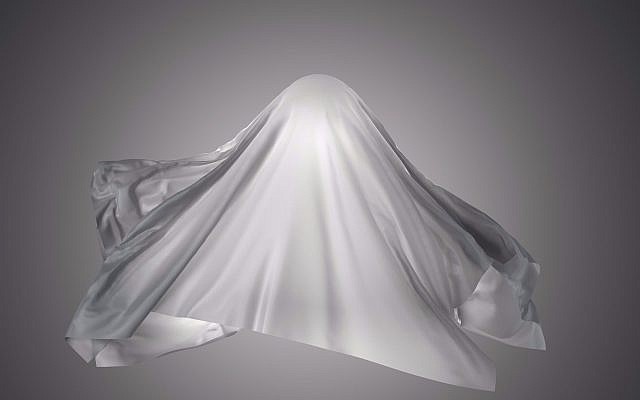 Файл:Invisibility-cloak-cropped-640x400.jpg